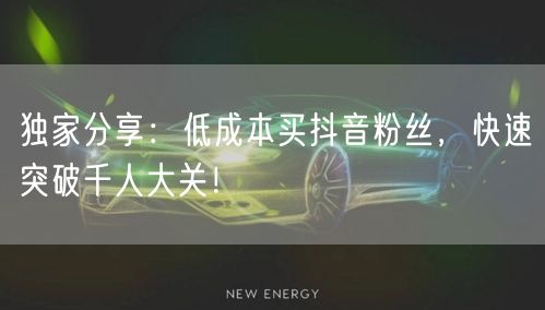 独家分享:低成本买抖音粉丝,快速突破千人大关!