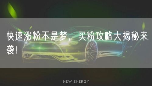 快速涨粉不是梦,买粉攻略大揭秘来袭!