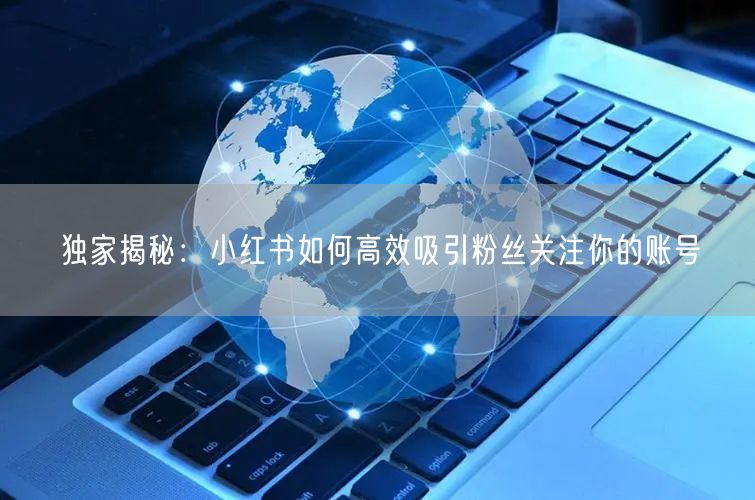 独家揭秘:小红书如何高效吸引粉丝关注你的账号