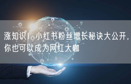 涨知识!小红书粉丝增长秘诀大公开,你也可以成为网红大咖