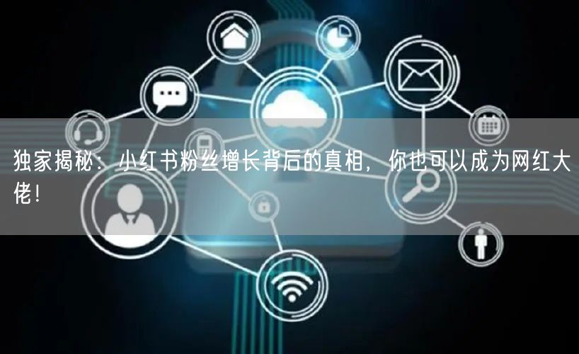 独家揭秘:小红书粉丝增长背后的真相,你也可以成为网红大佬!
