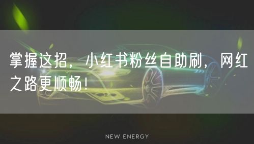 掌握这招,小红书粉丝自助刷,网红之路更顺畅!