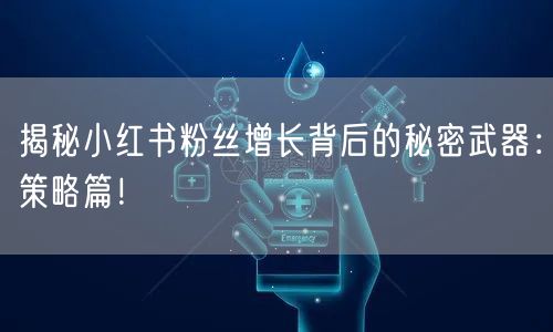 揭秘小红书粉丝增长背后的秘密武器:策略篇!