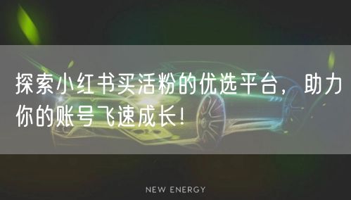 探索小红书买活粉的优选平台,助力你的账号飞速成长!